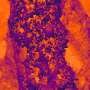 Nanoscale tin catalyst discovery paves way for sustainable CO₂ conversion