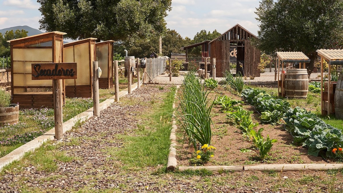 At Casa Nova in Catalonia, low waste and humanitarianism go hand in hand