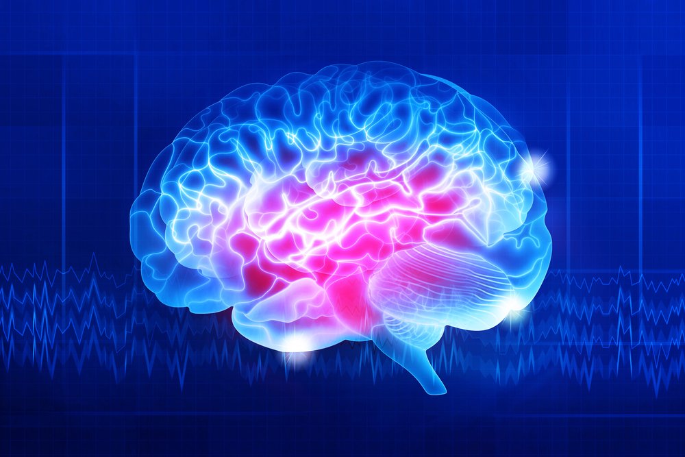 Just Three Days on a High-Fat Diet Can Harm Your Brain