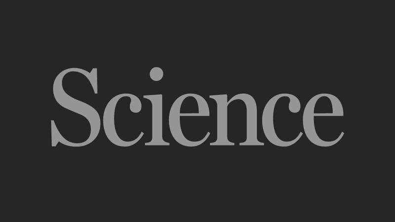 COP 30: Brazilian policies must change | Science