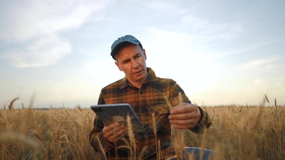 New Tech Could Help Wheat, a Global Food Source, Fight Disease Like Stem Rust