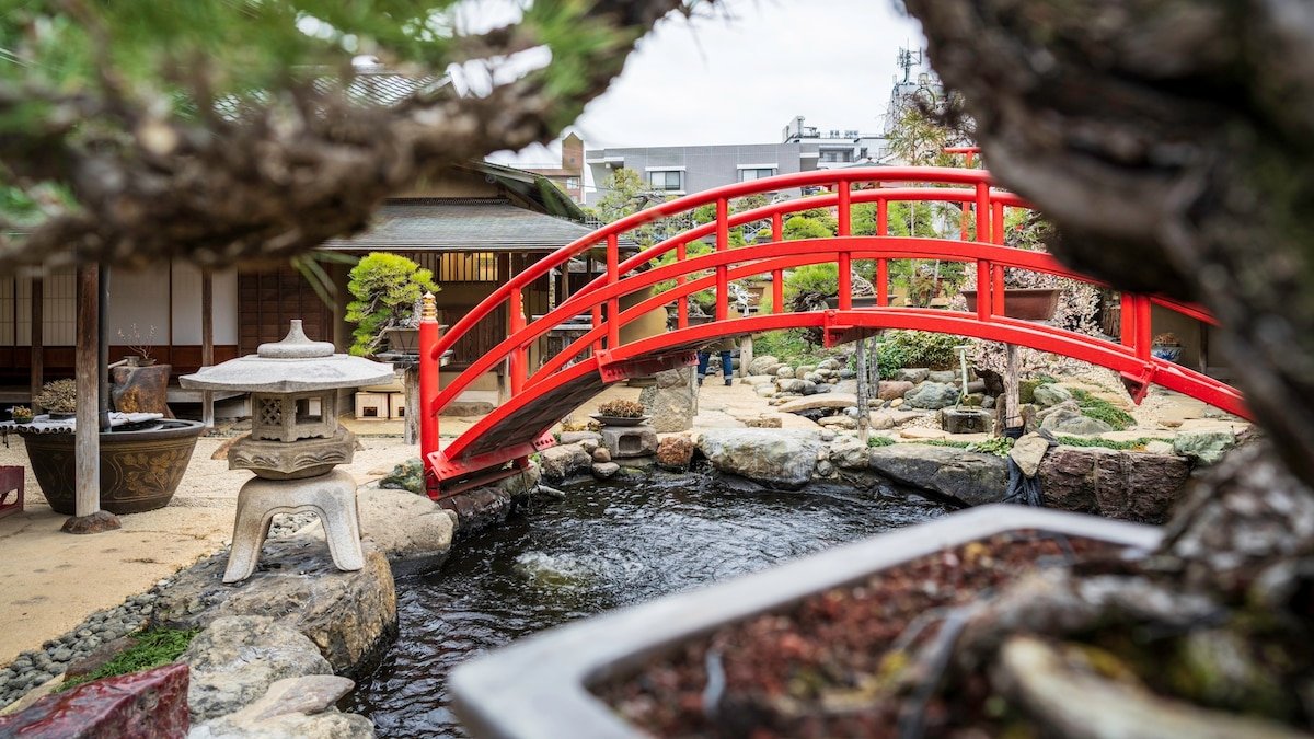 This city should be your next adventure: Tokyo, Japan