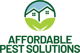 Professional Ant Control by Affordable Pest Solutions Now Offered in Budd Lake, NJ