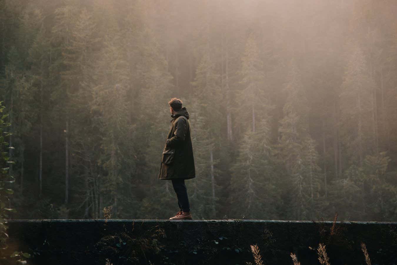 The wild idea that we all get nutrients from the air that we breathe