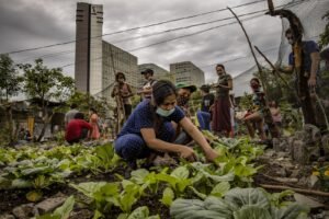 As nations lag on climate action, their cities are stepping up. Here’s proof.