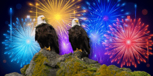HUMAN EVENTS: We love America, you should too