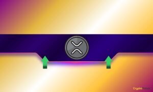 Ripple’s (XRP) Price Is About to Rip and Most of You Will Miss it (Analyst)