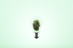 Food safety vs sustainability: Will industry have to choose?