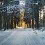 Polar vortex patterns explain shifting US winter cold despite warming climate