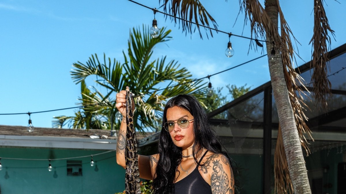This designer is giving thousands of dead Burmese pythons new life