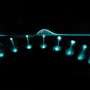 How do water rings ‘bounce?’ New discovery answers decades-old question