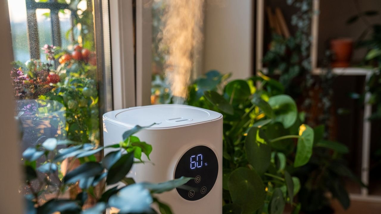 How to choose a humidifier — Here’s our knowledge from years of testing