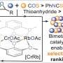 Predictive rule reveals which sulfur-based building blocks create sustainable, degradable plastics