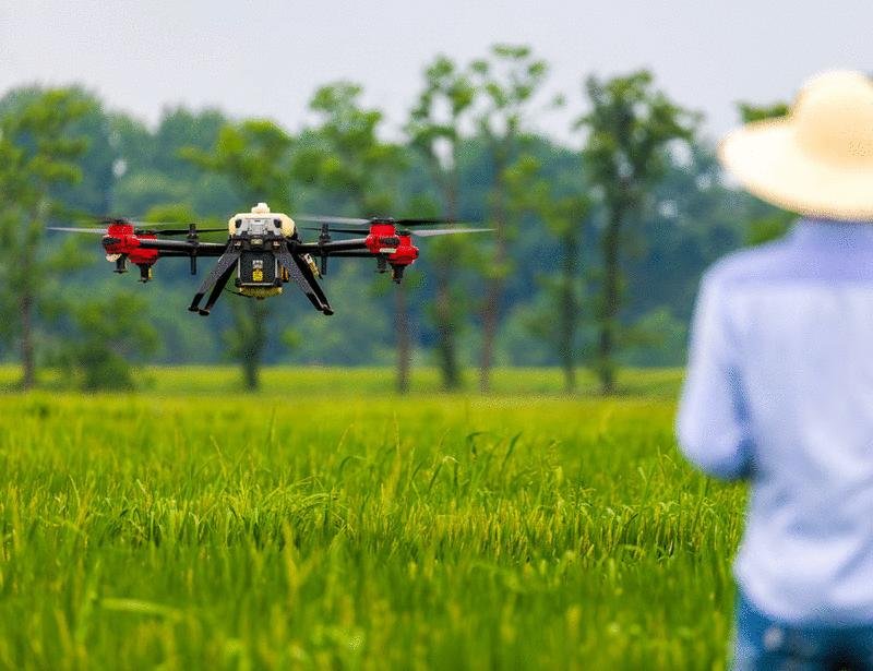 Can the global drone revolution make agriculture more sustainable? | Science