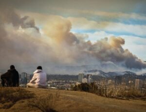 Burning questions on wildfire | Science