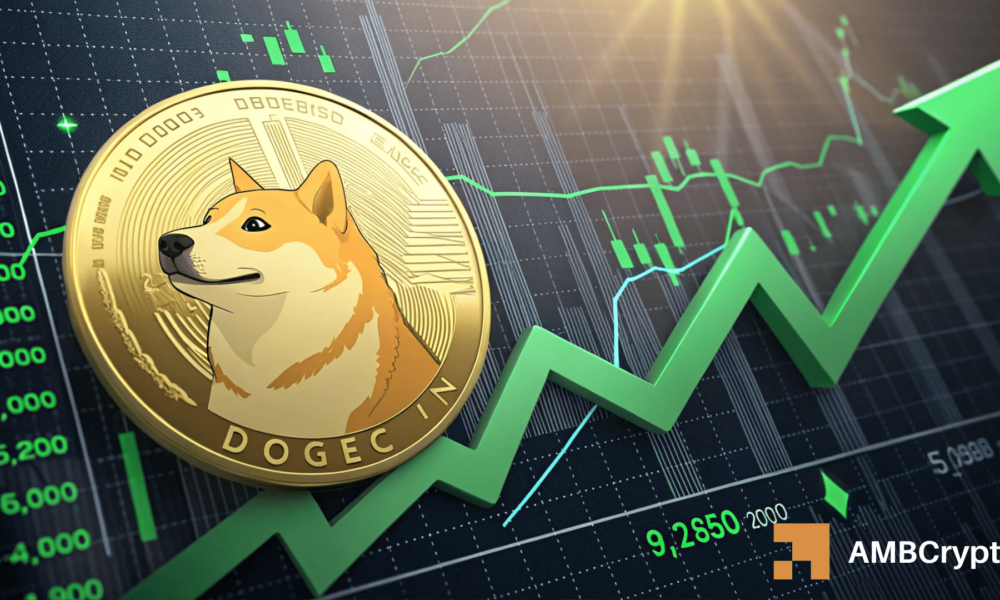 Dogecoin: Why this cycle can have DOGE’s most sustainable rally yet