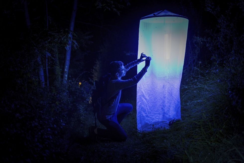 The Quest to Sequence the Genomes of Everything