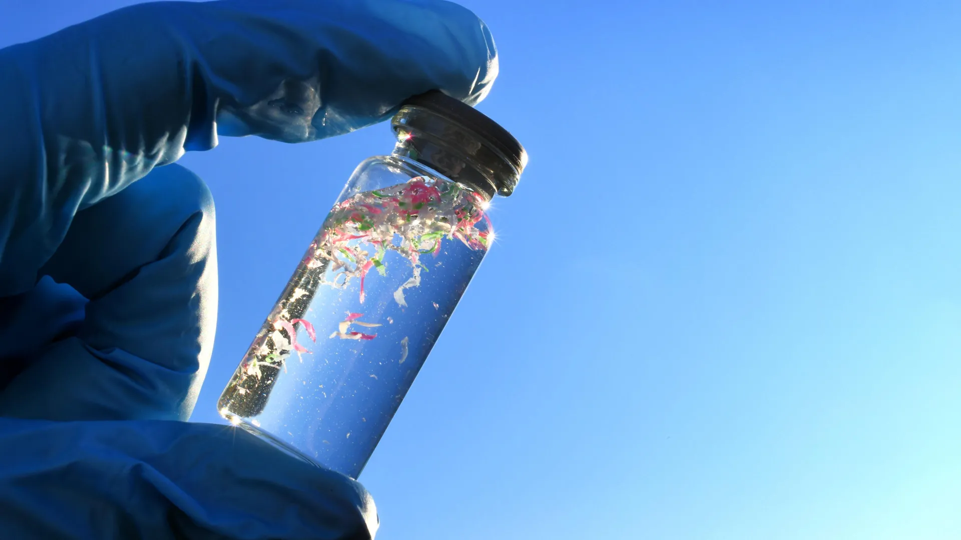 New research reveals what’s really hiding in bottled water