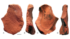 Neanderthals used ‘crayons’ to color