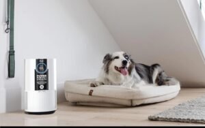 Shark’s pet-friendly air purifier is cheaper than ever at Amazon for a limited time