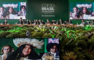 Strengthening Indigenous Lands Rights Key in Solving Deforestation in Amazon