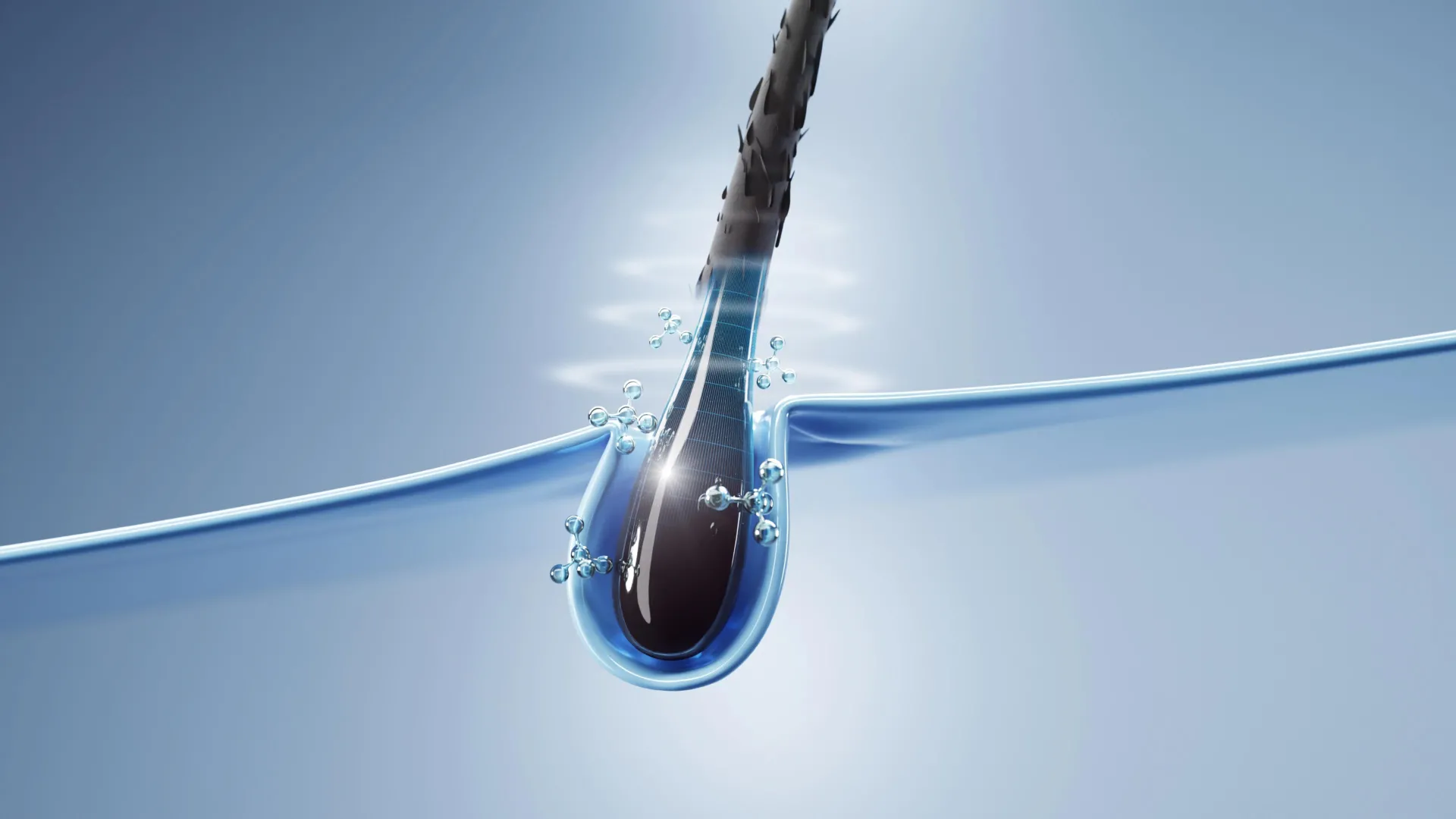 Scientists discover how hair cells can help heal skin faster