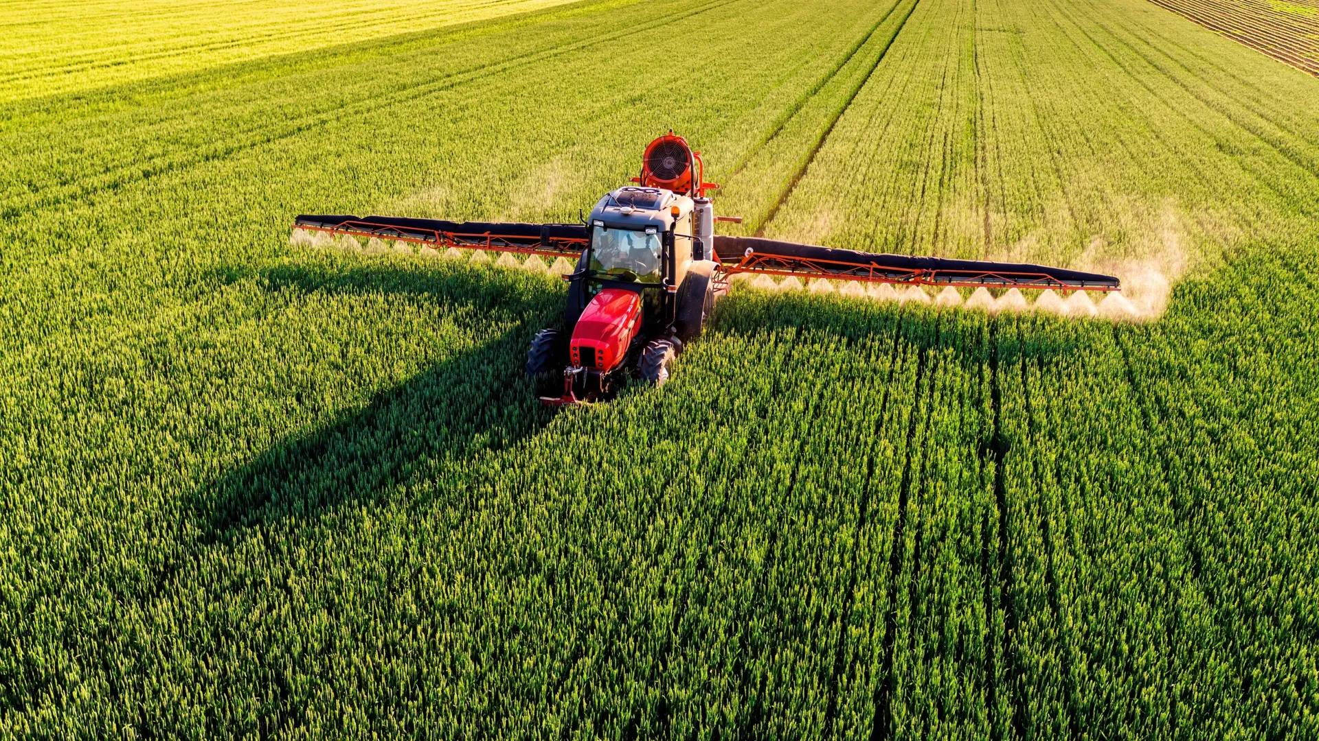 Common pesticides may cause testicular damage and lower sperm counts