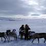 Old rules do not work for reindeer husbandry, argue experts