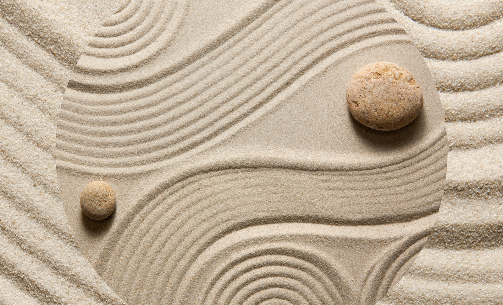 Grace under pressure: What will define sustainability in 2026