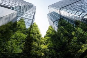 2025: the year sustainability didn’t die 