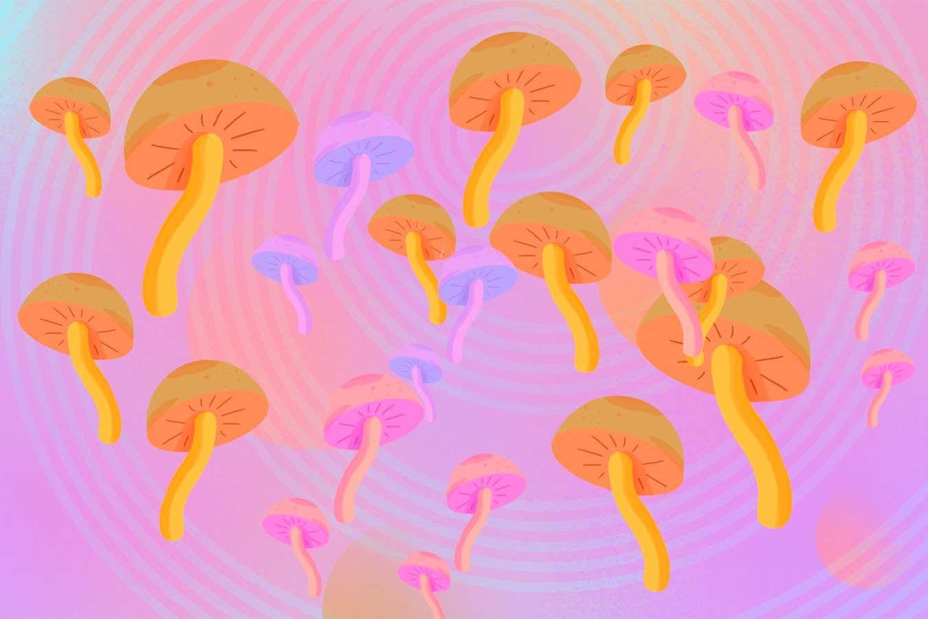 What is Bryan Johnson up to now? We try to explain