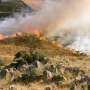 Wildland fires emit more air pollution than previously estimated, study finds