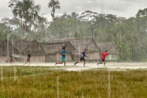 Mongabay’s investigative reporting won top environmental journalism awards in 2025