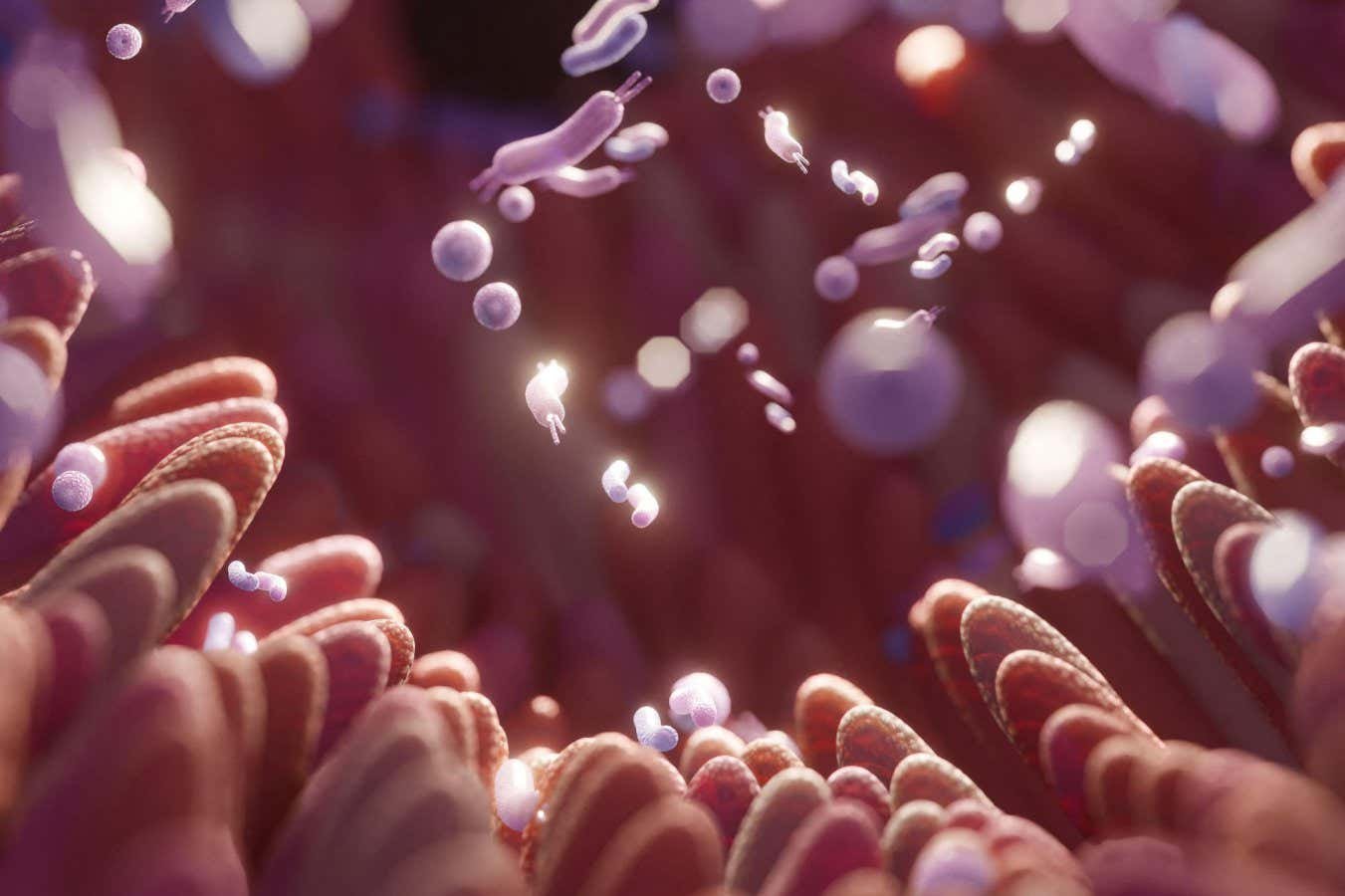 Microbiome study hints that fibre could be linked to better sleep