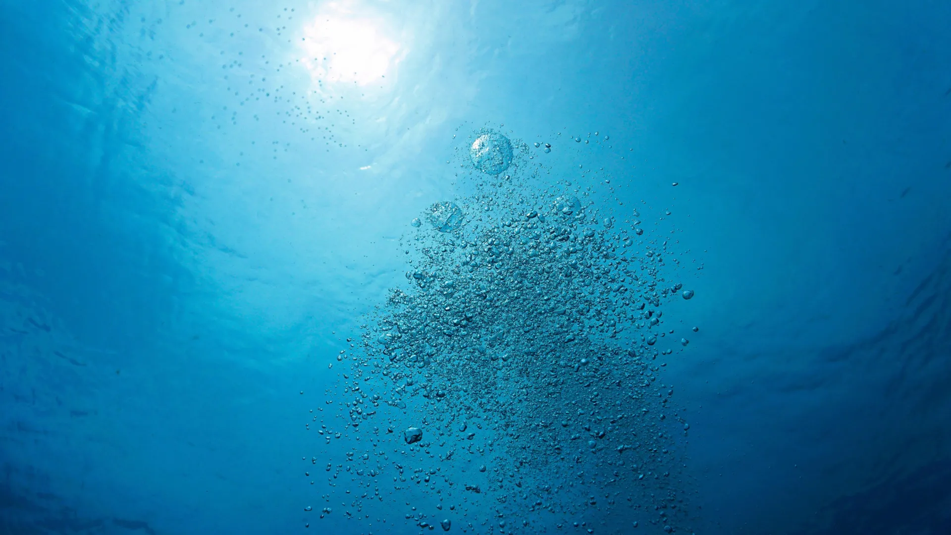 The oxygen you breathe depends on a tiny ocean ingredient