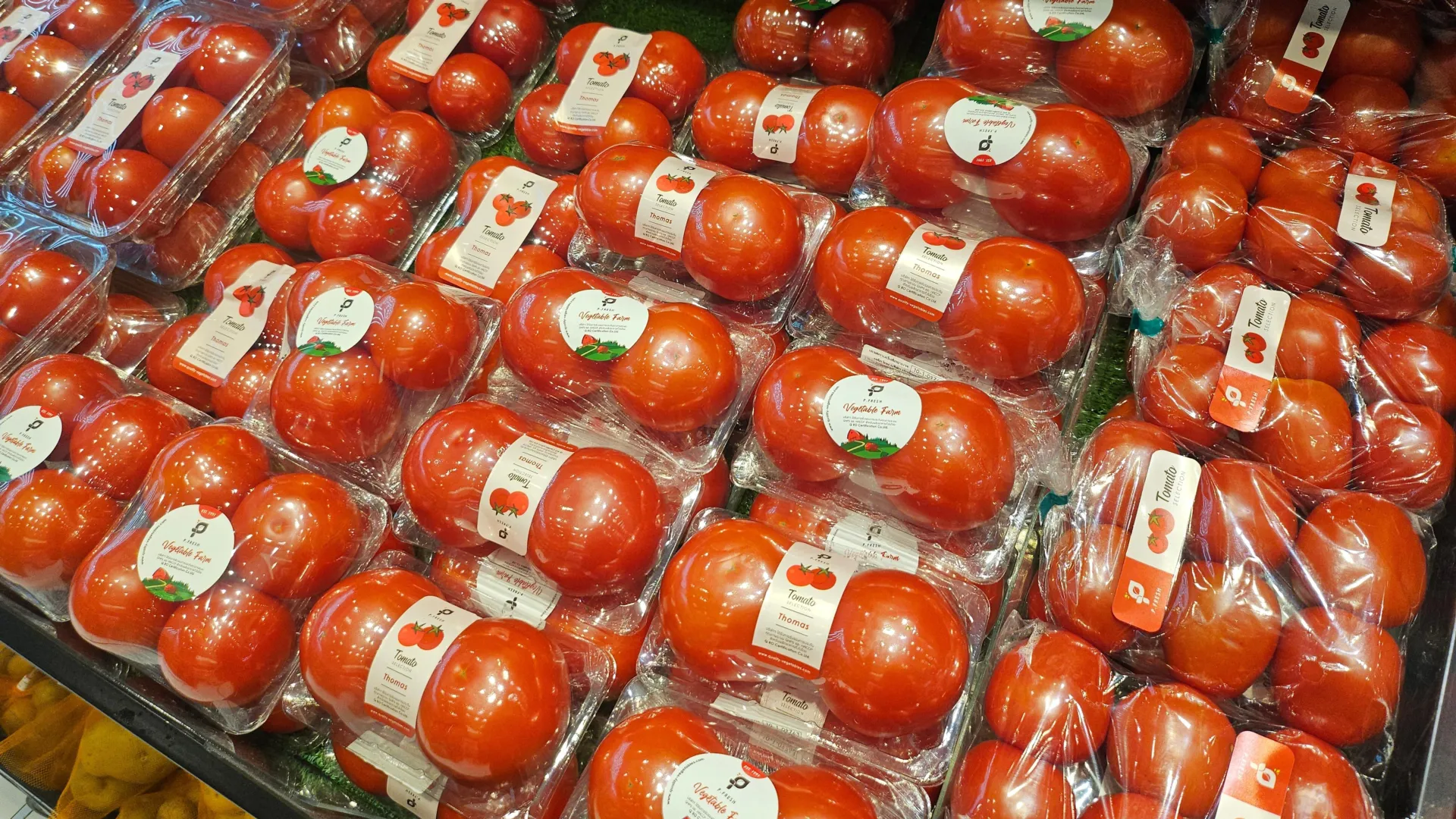 Scientists question the safety of BPA-free packaging