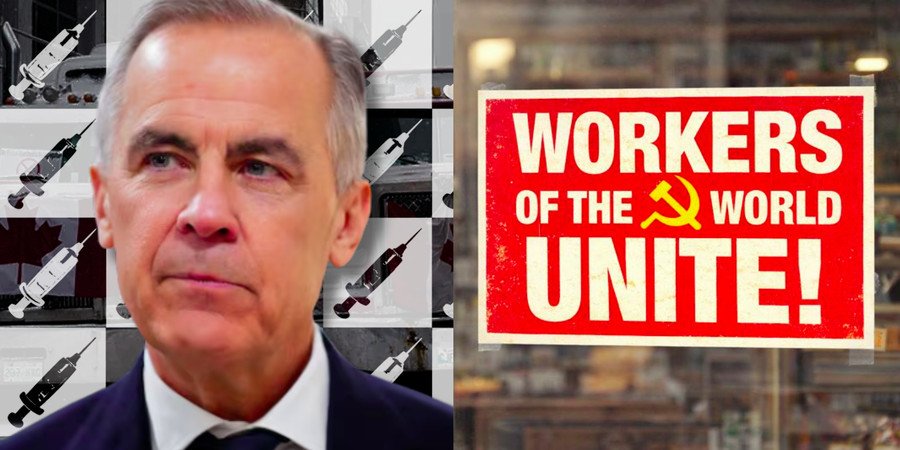 ROBERTO WAKERELL-CRUZ: Canadians don’t need a lecture on enforced conformity from Mark Carney