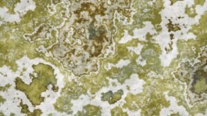 A landmark sustainability study was wrong. Correcting it took two years